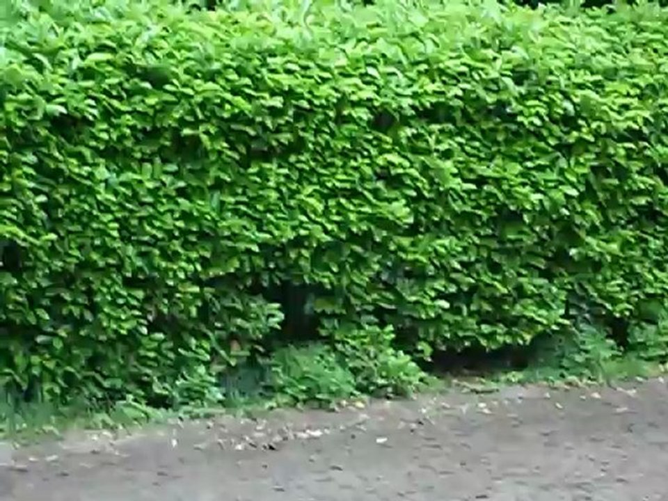 100_4592