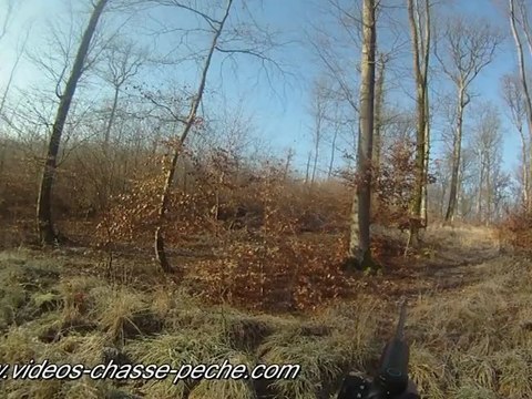 Chasse sanglier en battue avec rabatteurs - Caméra chasse GoPro HD