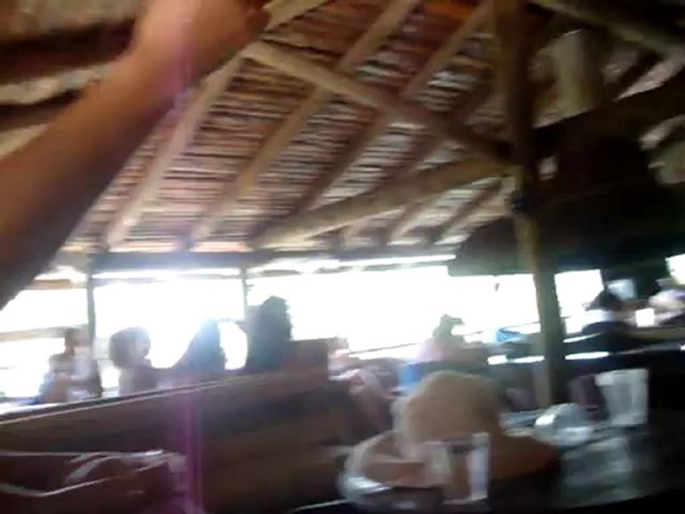 bir fincan kahve olsam