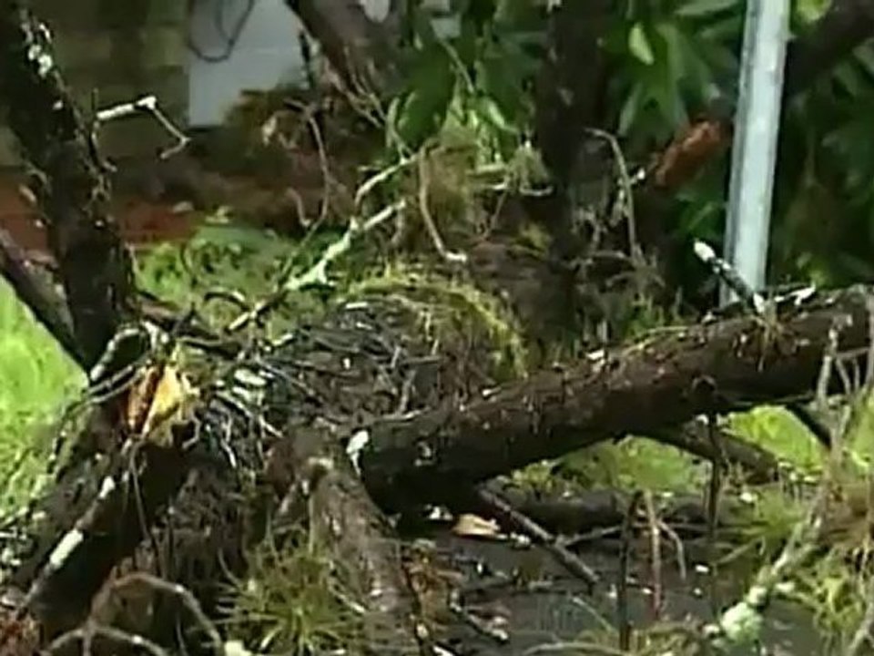Tropical Stom Debby churns off Gulf Coast.