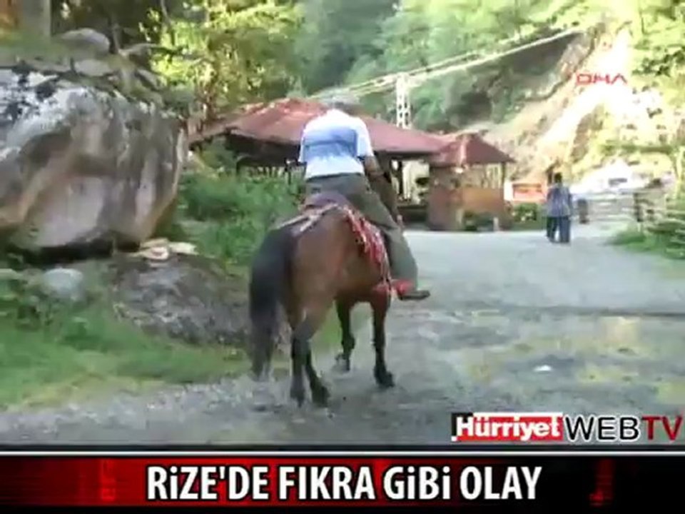 At üzerinde jenaratör çalıştırılırsa ne olur Rizeli amcam denemiş