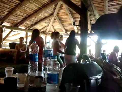 bahçe duvarından aştım