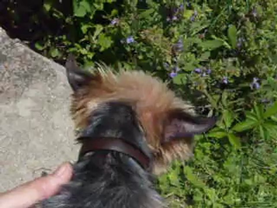 ma petite mimi et les autres