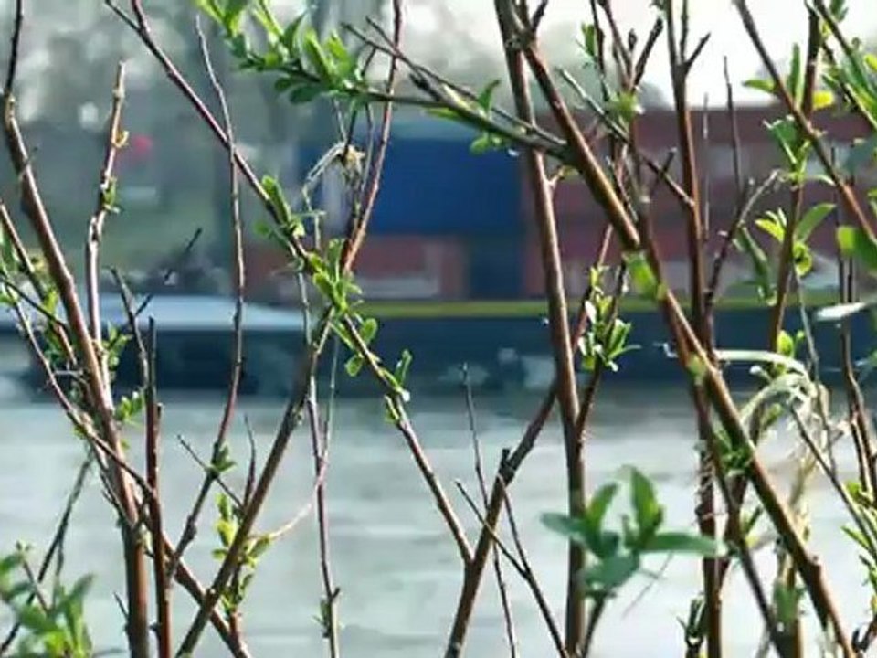 Das Kölner Rheinufer