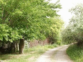 Musa Eroğlu -  Bitti Mapus