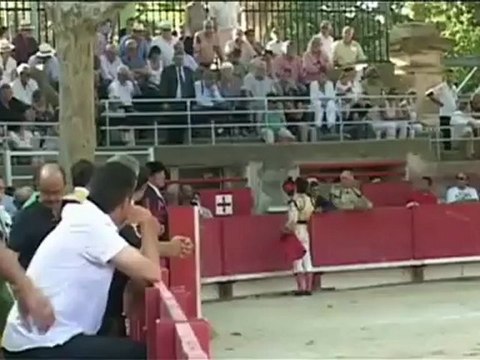 Tarascon-24-Juin-2012 Novillada