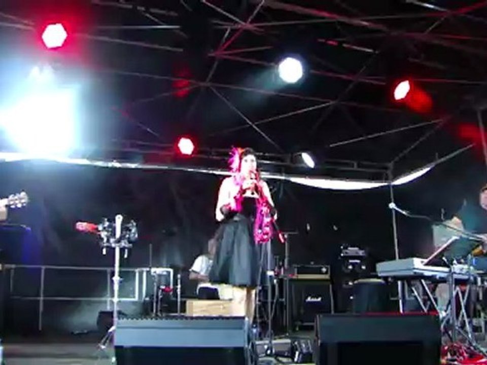 Les Grenouilles de Salem fête de la musique Gray 23/06/2012