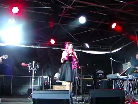 Les Grenouilles de Salem fête de la musique Gray 23/06/2012