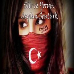 vefalı gölgem- ceylan şentürk