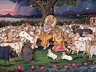 Cows Love...;notre mère la vache