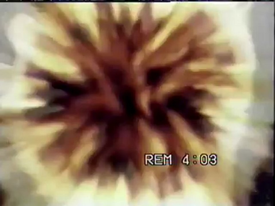 Power Rangers la película en vídeo anuncio