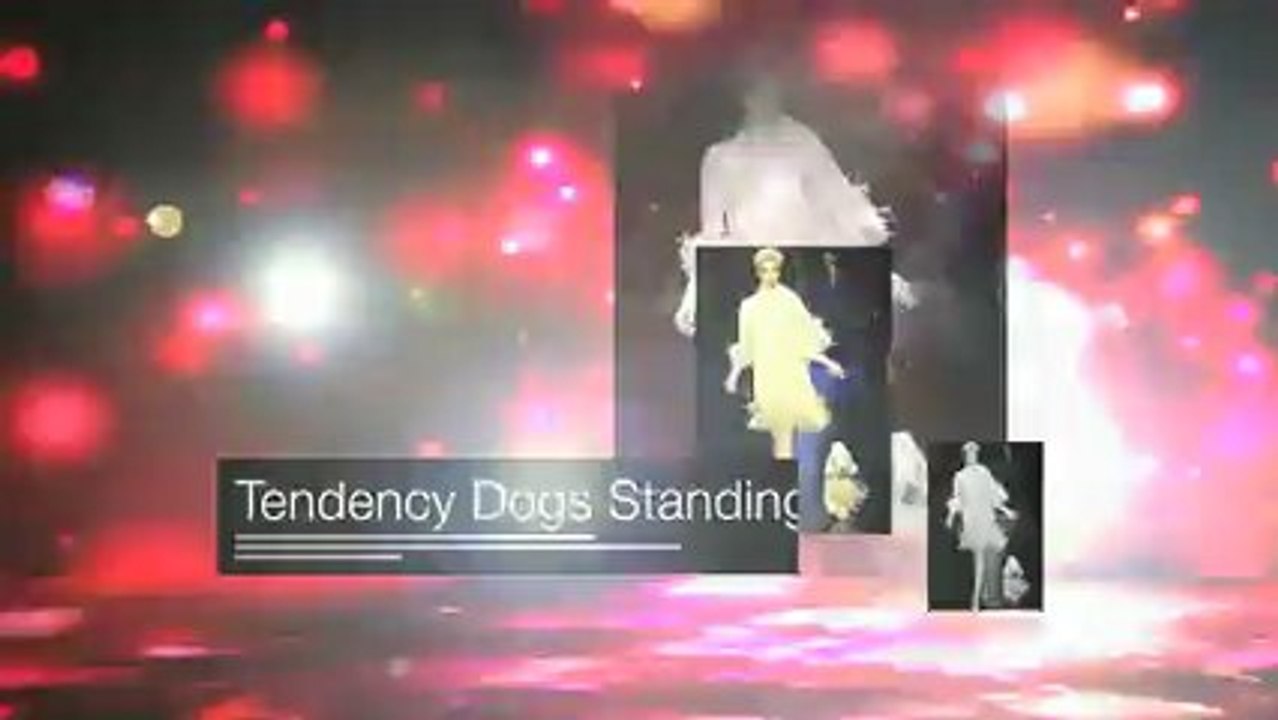 TDS Handling with style 2