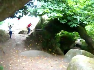 Huelgoat basoko kaosa