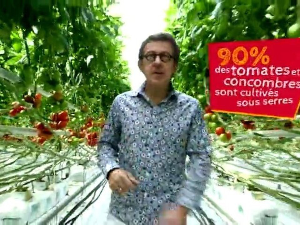 Sous la Serre avec Jamy!