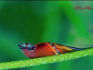 Bao gia son sua nha quan binh thanh call 0907 323 053