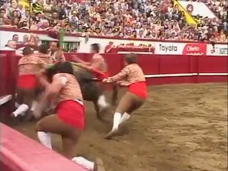 CORRIDA CONCURSO GANADERÍAS EN LAS SANJOANINAS
