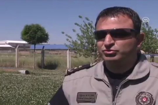 Kayıp çocukları izci köpekler bulacak