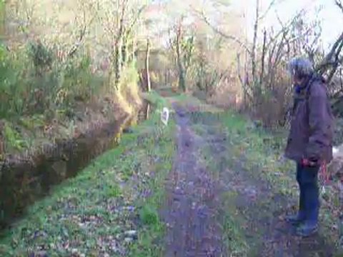 En promenade avec Nora et Diane printemps 2011