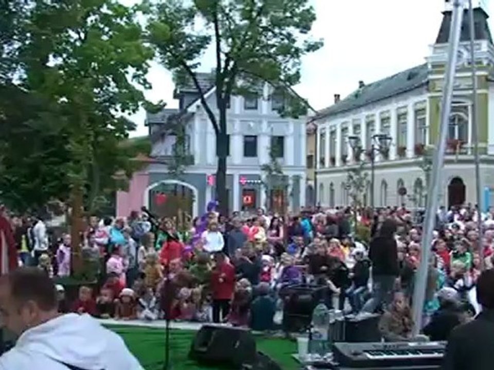 Mesto Tvrdošín v roku 2011