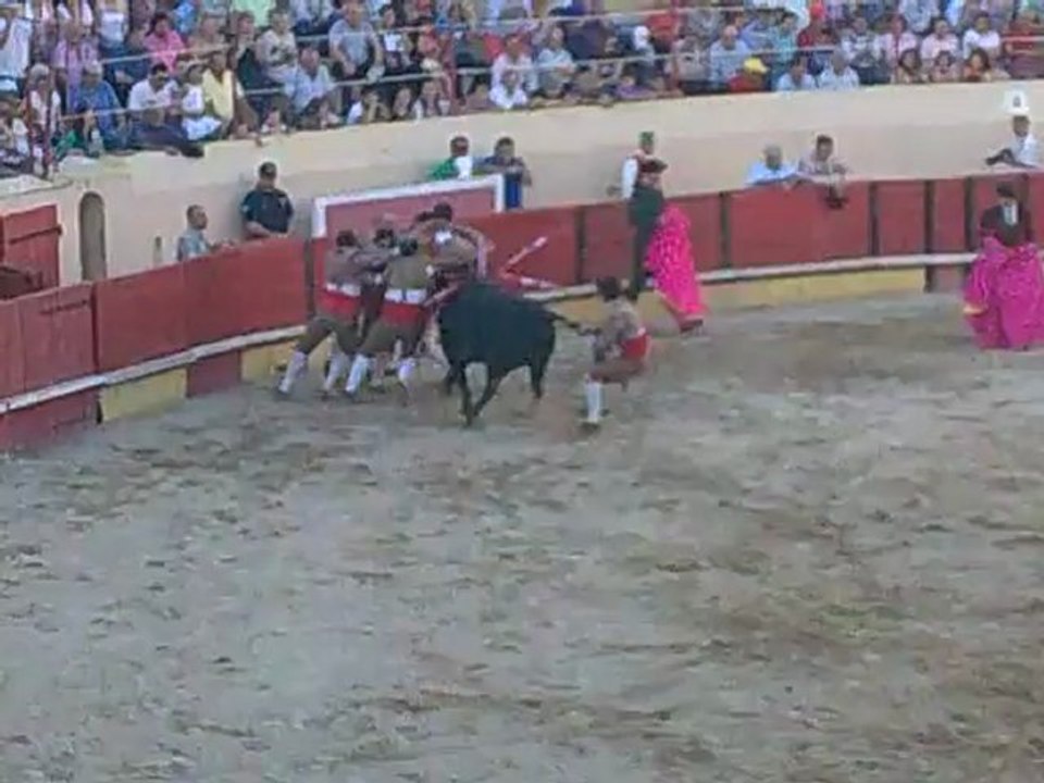 IGOR RABITA DOS AMADORES DA CHAMUSCA PEGA TOIRO INFANTE DA CAMARA NA PRAÇA DE TOIROS DO CARTAXO