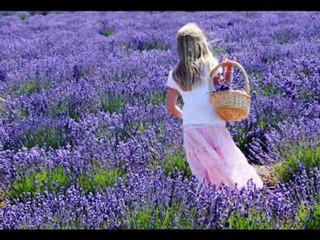 ZEKİ MÜREN GELMEDİN BİR KERE