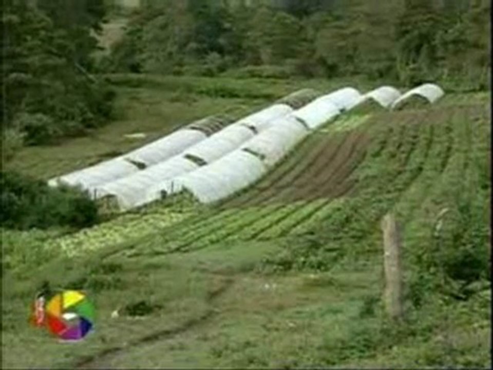 Productos orgánicos en Lepaterique. Noticiero Abriendo Brecha, Canal 7. 19 de junio del 2012.