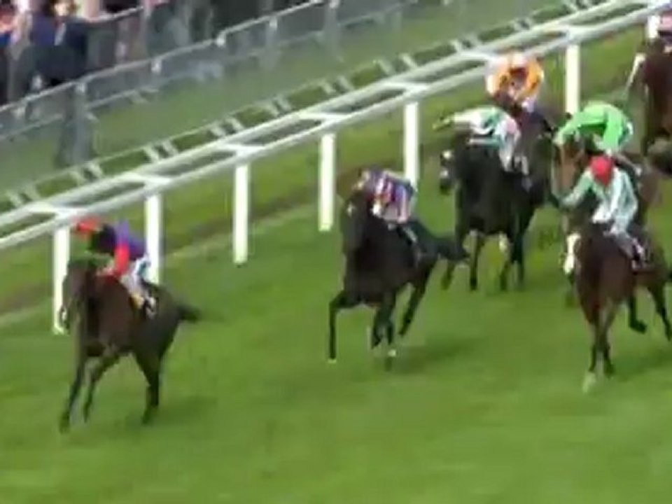 22.06.2012 Ascot (GB) 5.Race Queen's Vase 2012 - Group III 3.219 m Winner: Estimate