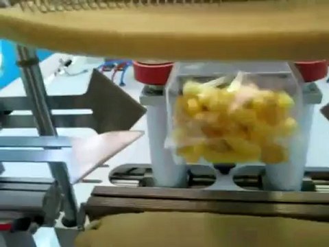 TECHNO D - Quad seal bagger with multihead weigher