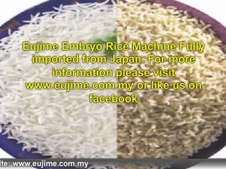 Top 13 Benefits of Embryo Rice
