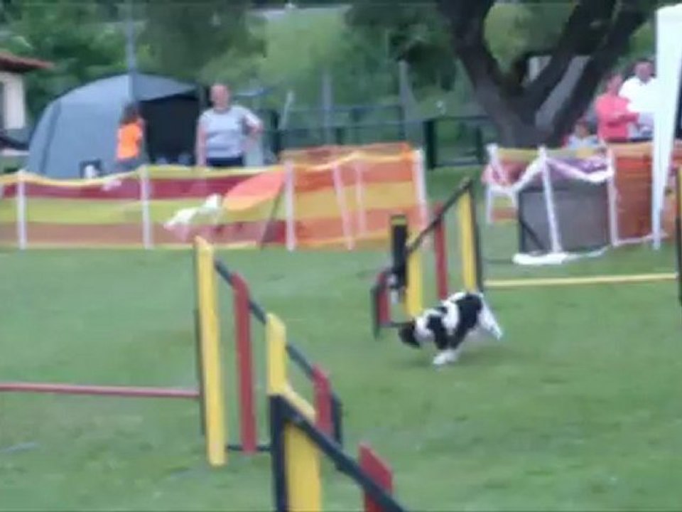 Concours Saint Dié 2012 - Tessie, Eyko, Arpège et Fulenn