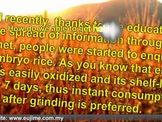History and Development of Embryo Rice