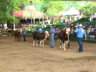 25 JUNIO 2012 feria simbrah monteria  web