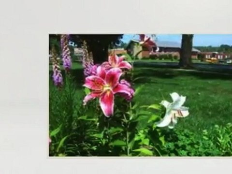 Tyson Top Quality Enterprises - (404) 909-5031