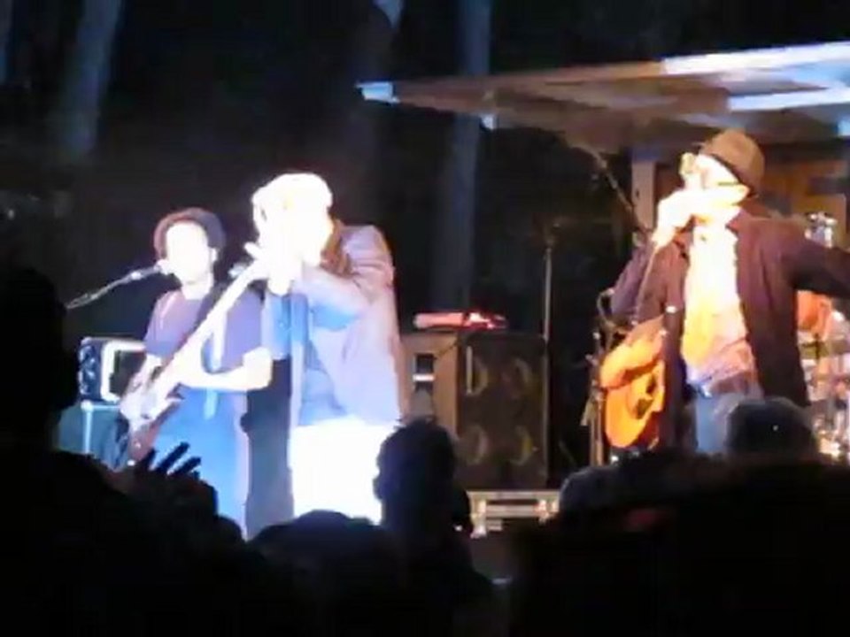 hk et les saltimbanks à avignon