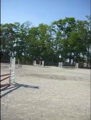 1er parcours CSO avec Rocker