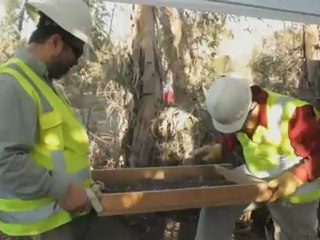 parte 3  sitio 2 h264 calidad baja 1280