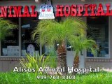 Alisos Animal Hospital 949-768-8308 Mission Viejo CA Veterinarian Animal Hospital