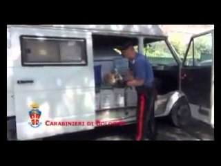 Bologna - Blitz antidroga a un rave party, 112 persone denunciate (25.06.12)