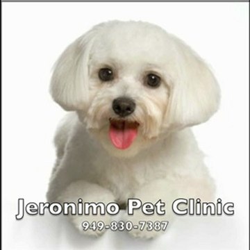 Jeronimo Pet Clinic 949-830-7387 Mission Viejo CA