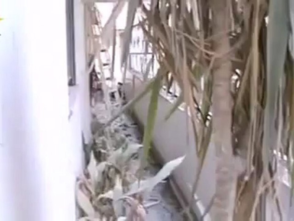Syria فري برس  حمص الدمار داخل منازل المدنيين في حي الخالدية بحمص بسبب القصف العشوائي 24 6 2012 Homs