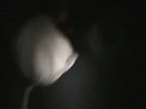 Syria فري برس درعا المخيم نزول القذائف وسقوط شهداء وجرحى 25 6 2012 Daraa