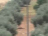 Syria فري برس ادلب خان شيخون الدبابات تقصف المدينة 25 6 2012 Idlib