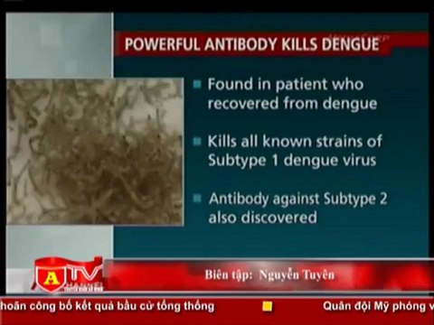 ANTÐ -Phát hiện kháng thể có thể tiêu diệt virus sốt xuất huyết
