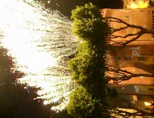 3 FEUX DE LA ST JEAN 2012 CCDB 66