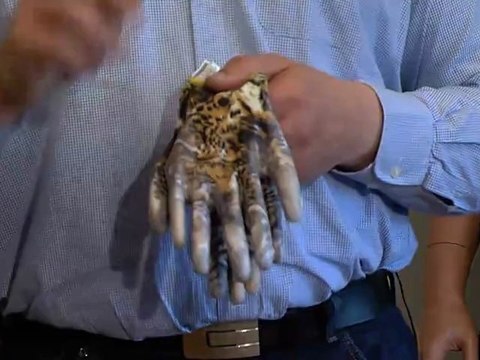 Bringen Sie Farbe ins Spiel: Handschuhe für Damen