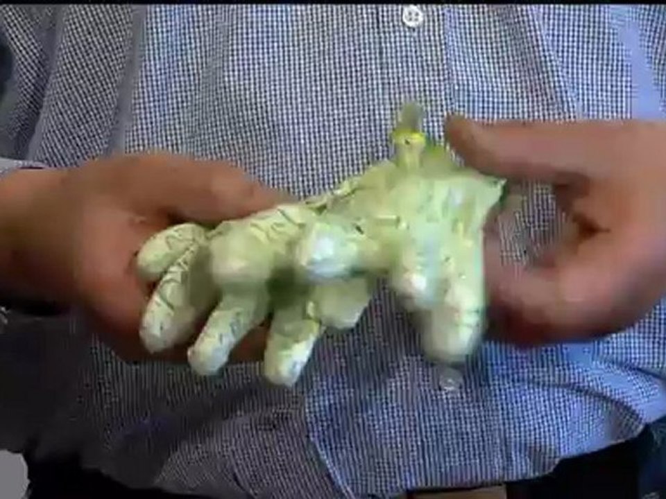 Damen Handschuhe mit PU Beschichtung - CrazyGloves