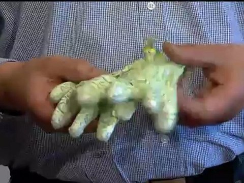 Damen Handschuhe mit PU Beschichtung - CrazyGloves