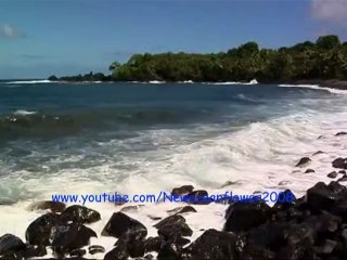 STELA ENACHE - Balada pescarusilor albastri