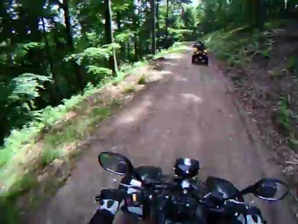 Rando du 24062012 vive les pommes