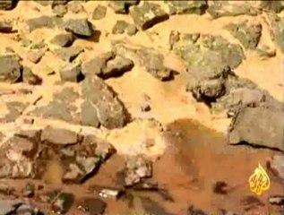 مشروع "ناقل البحرين" في الأردن